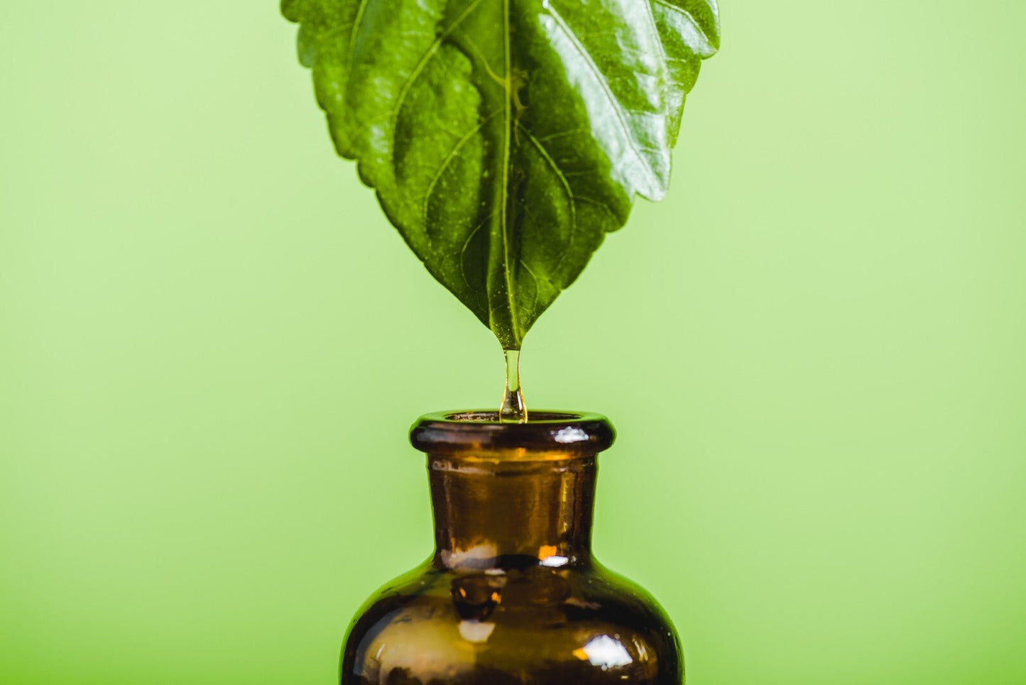 Neroli Essential Oil Pure Citrus Aurantium Amara Steam Distilled Tunisia Origin - Herbalshire Handmade Herbal Products
