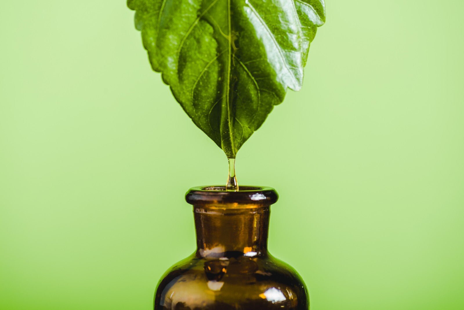 Neroli Essential Oil Pure Citrus Aurantium Amara Steam Distilled Tunisia Origin - Herbalshire Handmade Herbal Products