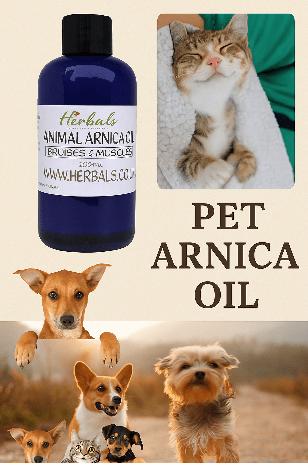 Oil Of Arnica Oil For Dogs & Cats For Bruises Strained Joints Muscles Ligaments - Herbalshire Handmade Herbal Products