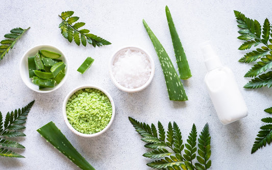 Patchouli Ointment - 60ml Handmade in Yorkshire Known for its Health Benefits a - Herbalshire Handmade Herbal Products