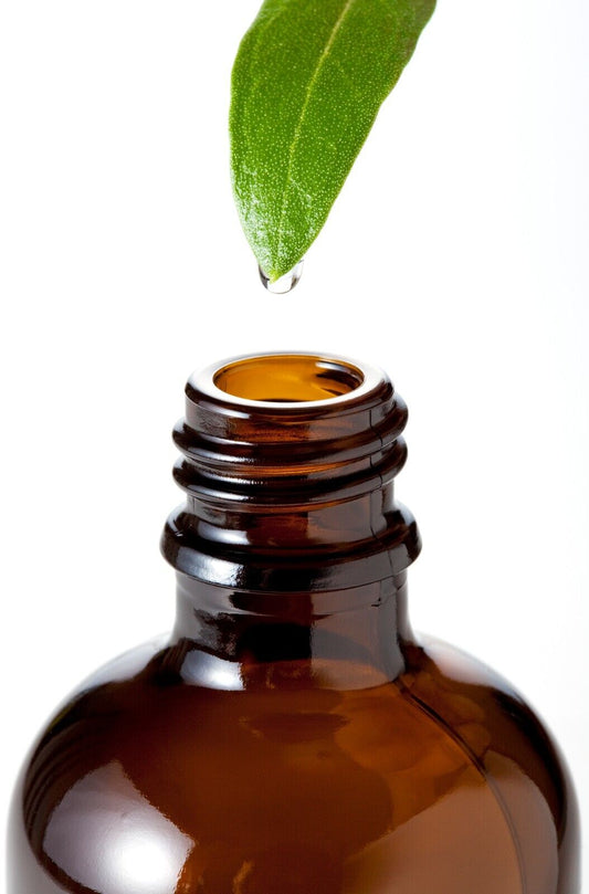 Premium Patchouli Essential Oil - 100% Pure & Natural - Ideal for Perfumes, Reed - Herbalshire Handmade Herbal Products