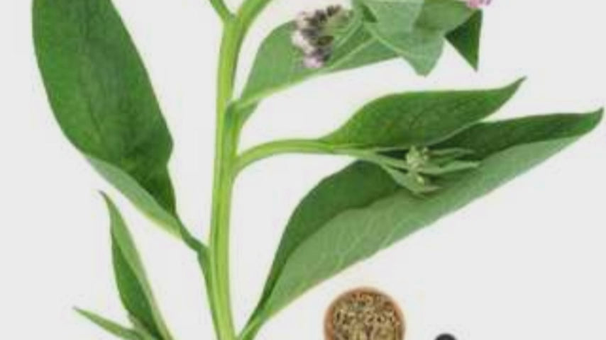 Natural Comfrey Cream 