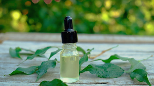 Handmade Lemon Geranium & Tea Tree Shampoo - SLS & Paraben Free - 250ml - Nourishing Essential Oils for Greasy Hair