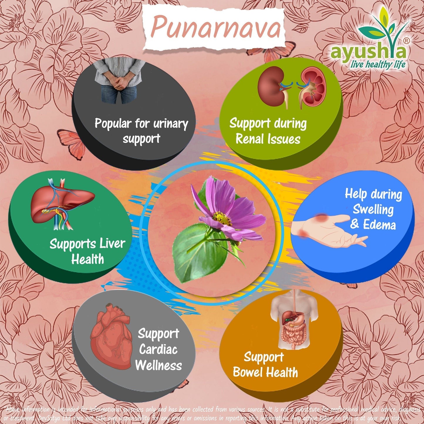 Punarnava Capsule (Boerhavia Diffusa) - Herbalshire Handmade Herbal Products