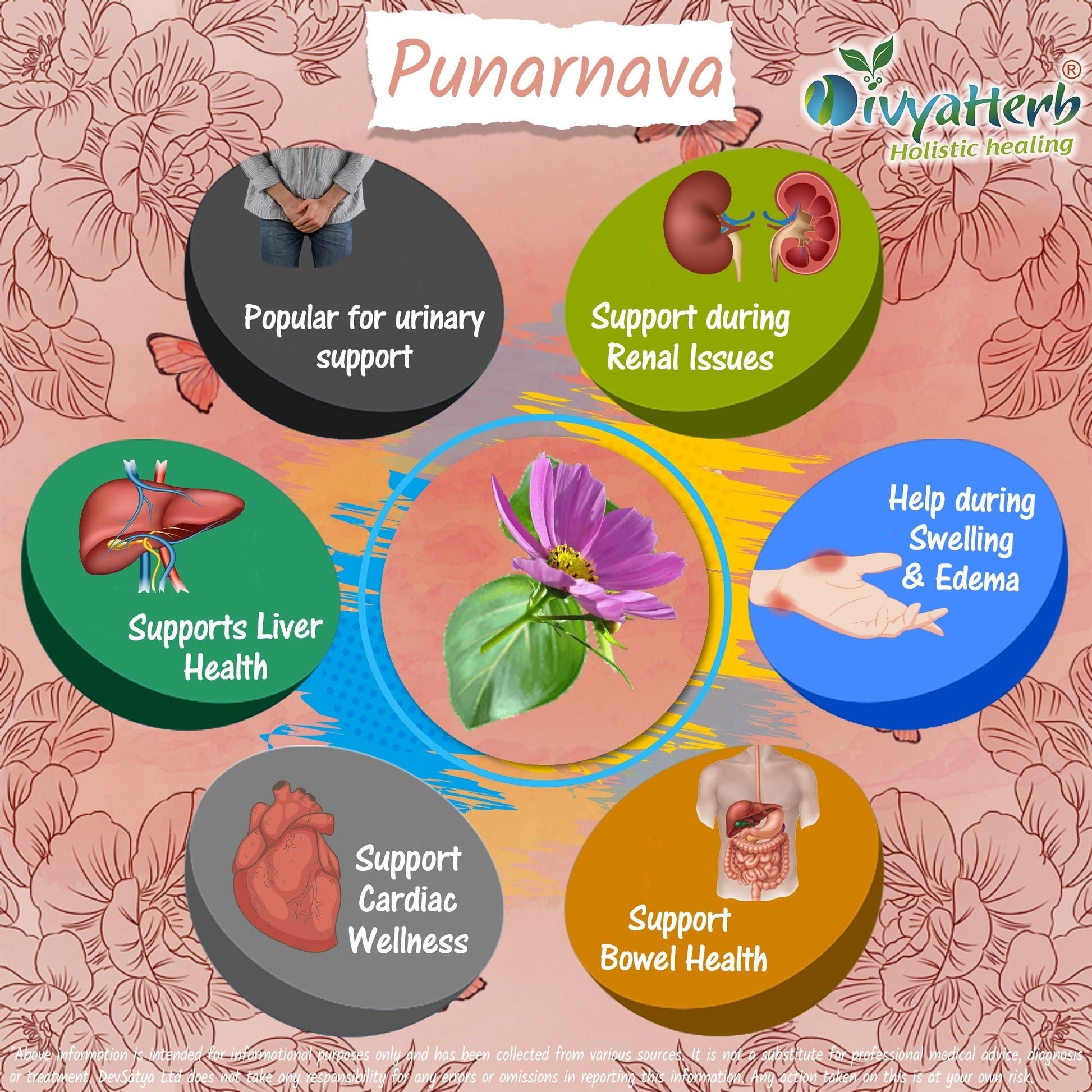 Punarnava Powder (Boerhavia Diffusa) - Herbalshire Handmade Herbal Products