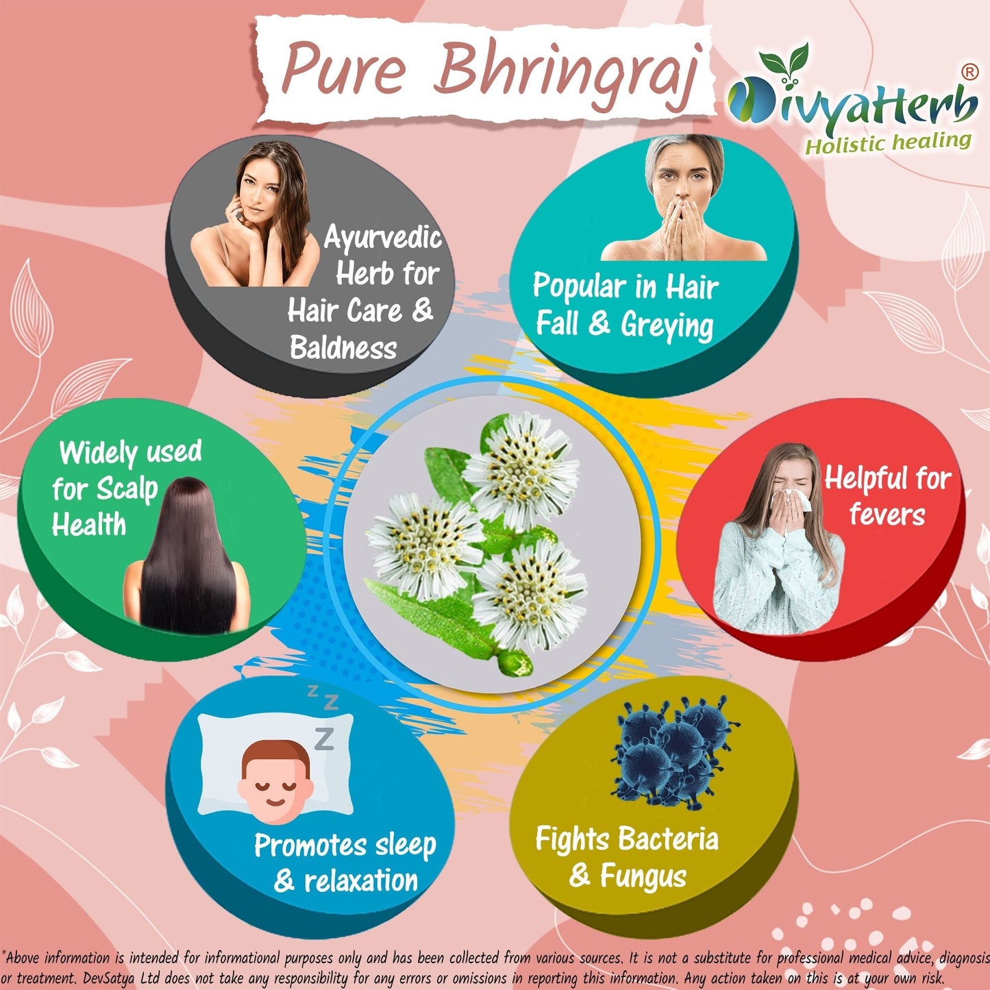 Pure Bhringraj Powder - Herbalshire Handmade Herbal Products