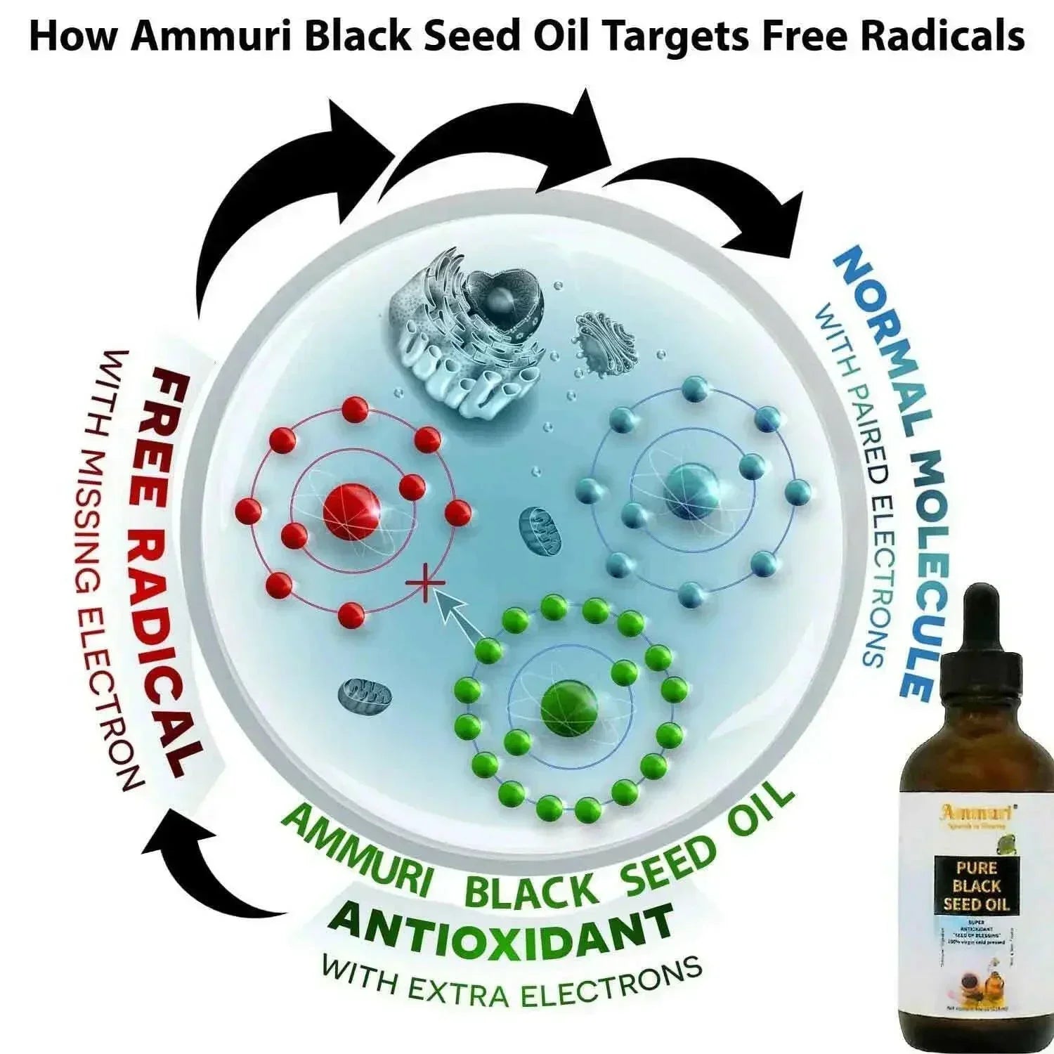 Pure Organic Black Seed Oil | Cold - Pressed Nigella Sativa for Skin, Hair & Wellness – Ammuri Beauty - Herbalshire Handmade Herbal Products