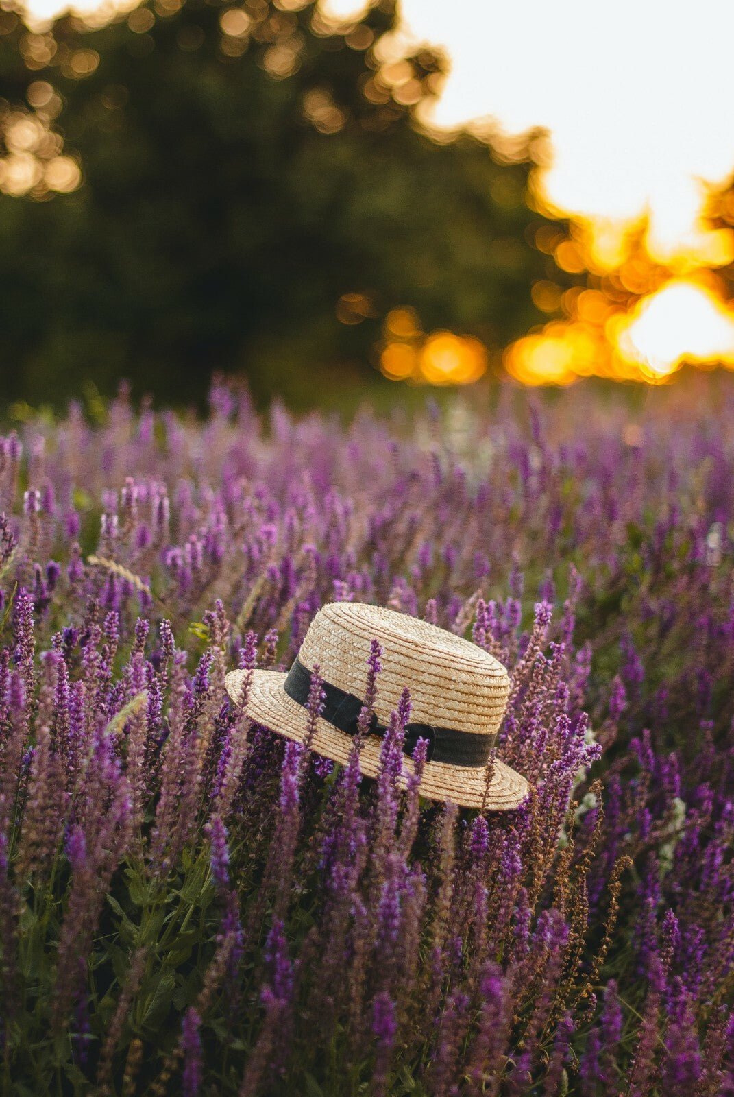 Restful Sleep Skin Cream - Natural, Handmade Cream with Soothing Lavender - Herbalshire Handmade Herbal Products