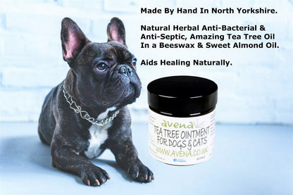 Tea Tree Balm for Dogs & Cats – Natural Pet Paw & Skin Balm – Soothes Dry Itchy