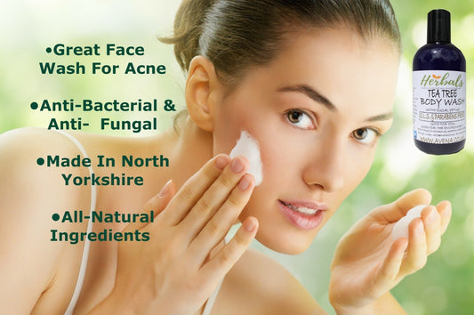 Shower Gel & Body Wash Tea Tree Oil & Eucalyptus 250 Ml For Skin Foot Wash Daily - Herbalshire Handmade Herbal Products