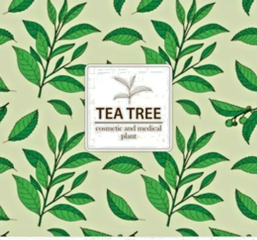 Shower Gel & Body Wash Tea Tree Oil & Eucalyptus 250 Ml For Skin Foot Wash Daily - Herbalshire Handmade Herbal Products