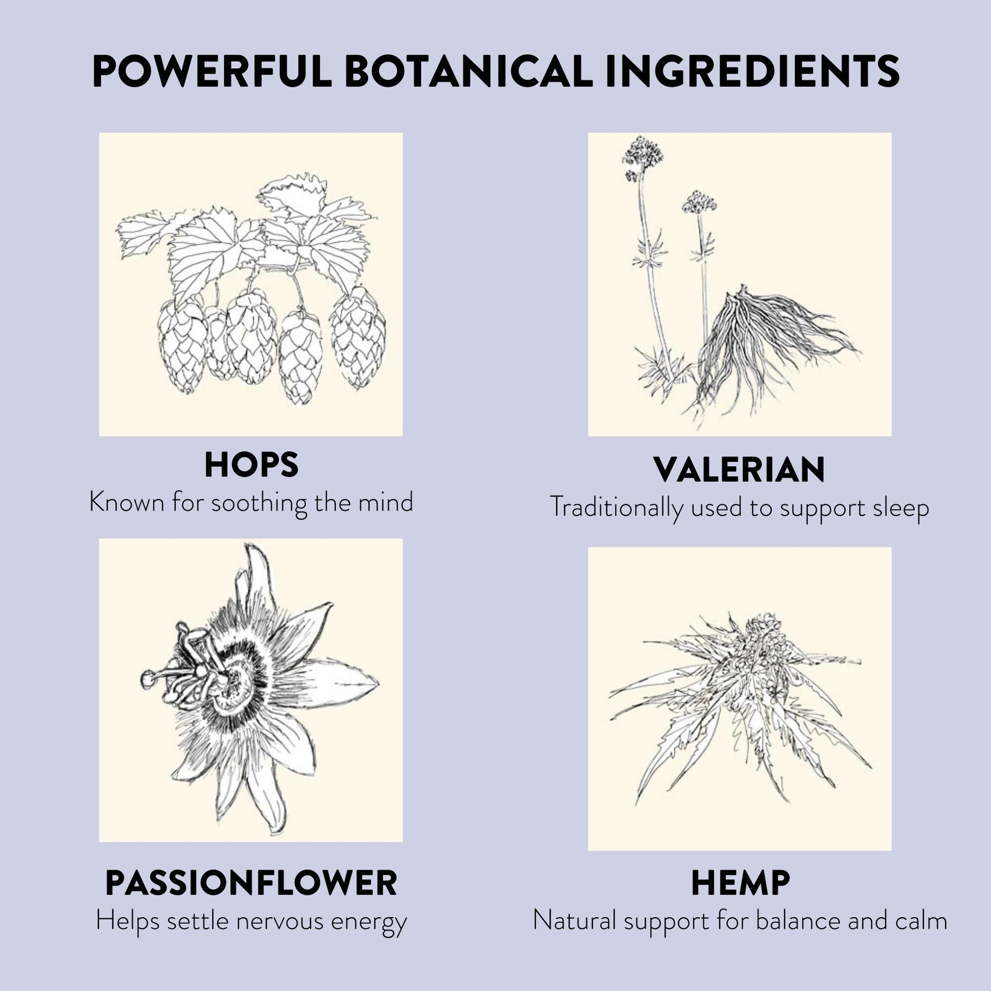 Sleep Time Patches - Herbalshire Handmade Herbal Products