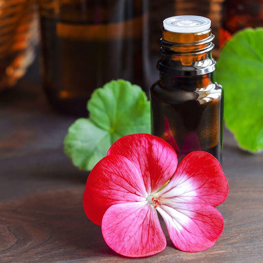 Special Skin Herbal Body Cream Lotion, Ultra Moisture Cream, Natural Ointment, - Herbalshire Handmade Herbal Products
