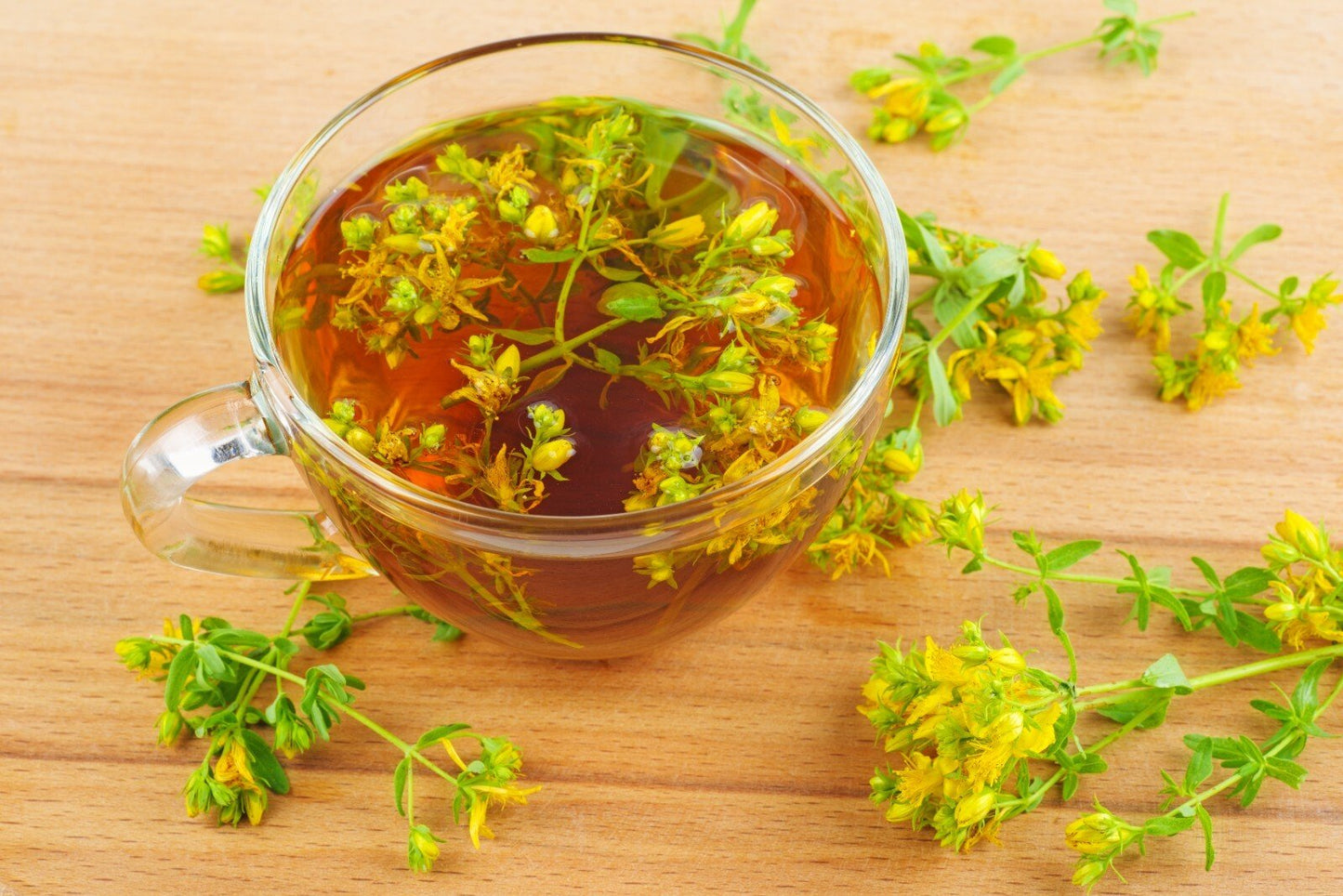 St John’s Wort Oil for Skin Nerve Pain Burns Eczema Scars – Herbal Oil UK Made - Herbalshire Handmade Herbal Products