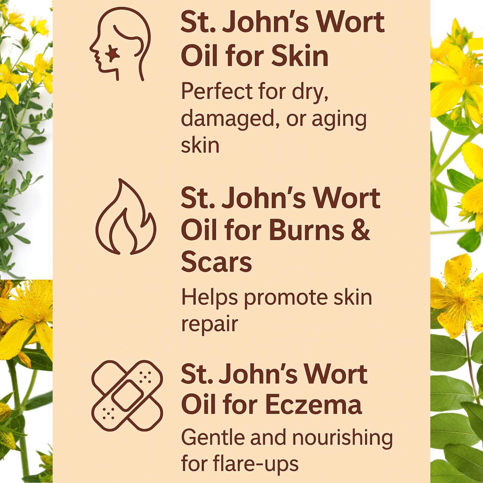 St John’s Wort Oil for Skin Nerve Pain Burns Eczema Scars – Herbal Oil UK Made - Herbalshire Handmade Herbal Products