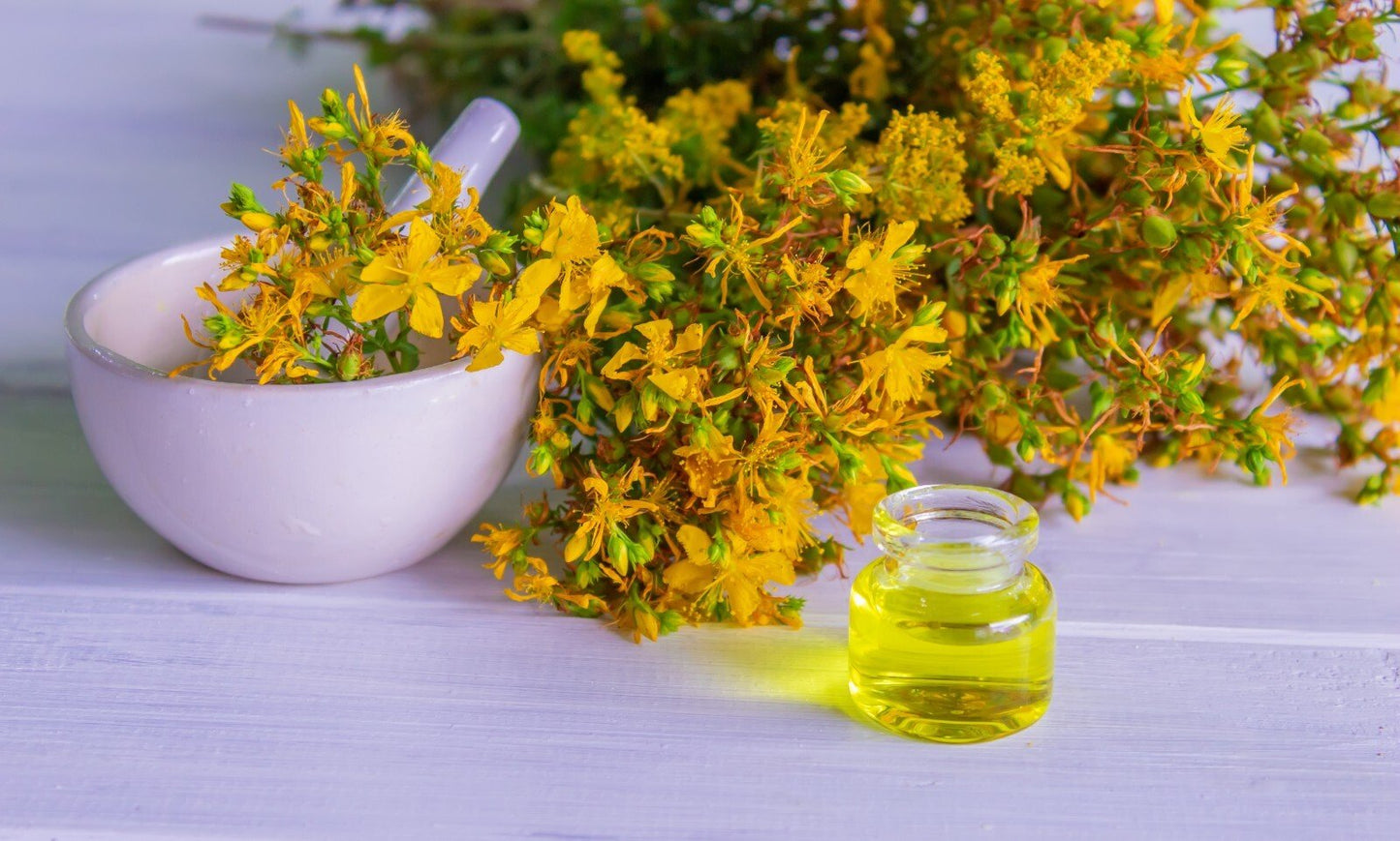 St John’s Wort Oil for Skin Nerve Pain Burns Eczema Scars – Herbal Oil UK Made - Herbalshire Handmade Herbal Products