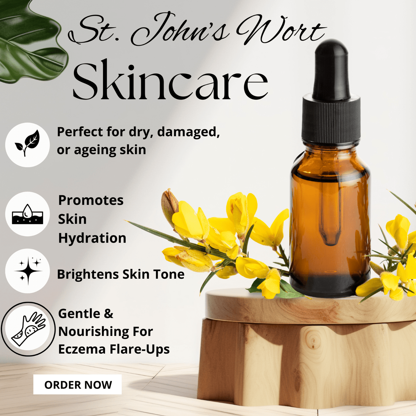 St John’s Wort Oil for Skin Nerve Pain Burns Eczema Scars – Herbal Oil UK Made - Herbalshire Handmade Herbal Products