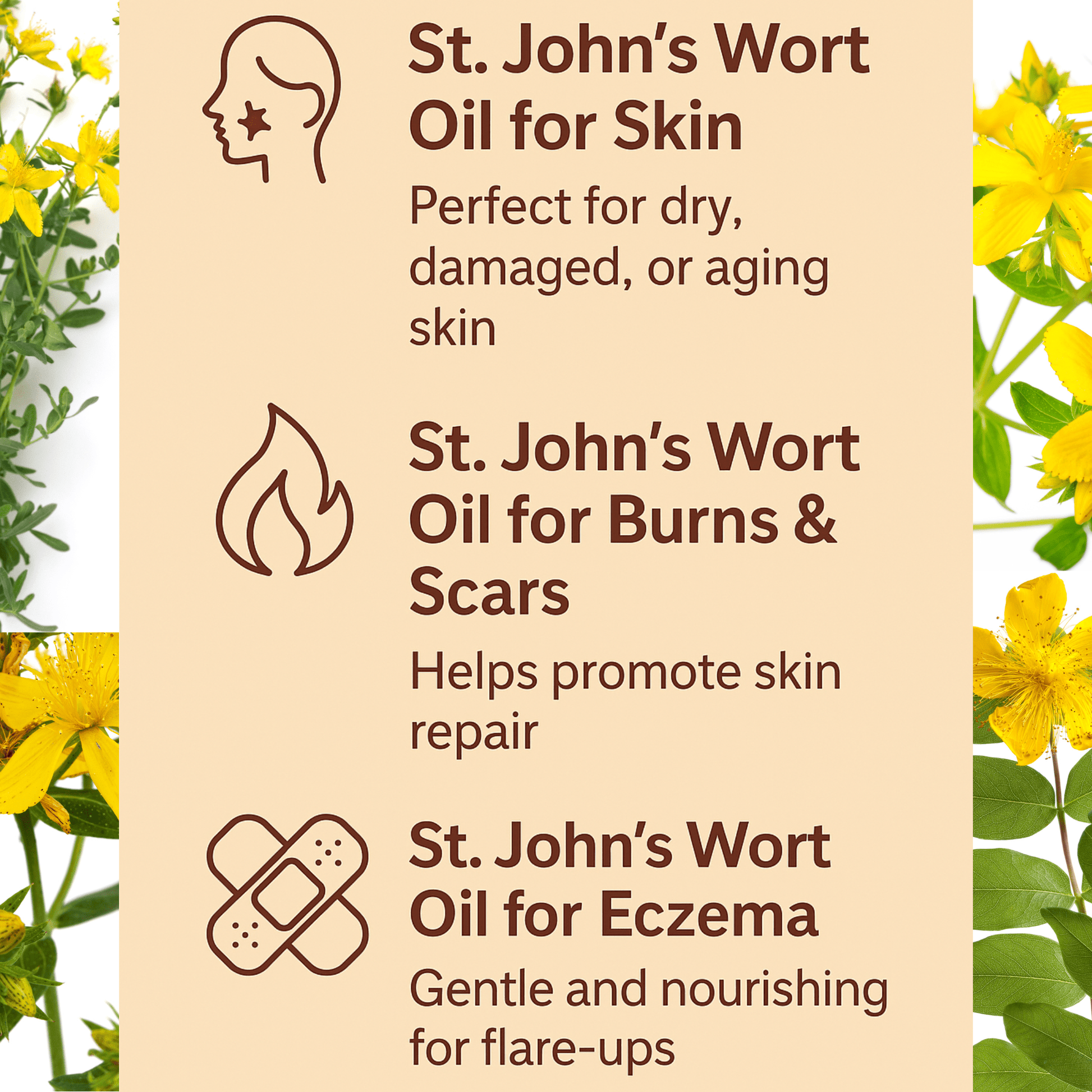 St. John’s Wort Oil – For Skin, Nerve Pain, Burns, Eczema, Scars - Herbalshire Handmade Herbal Products