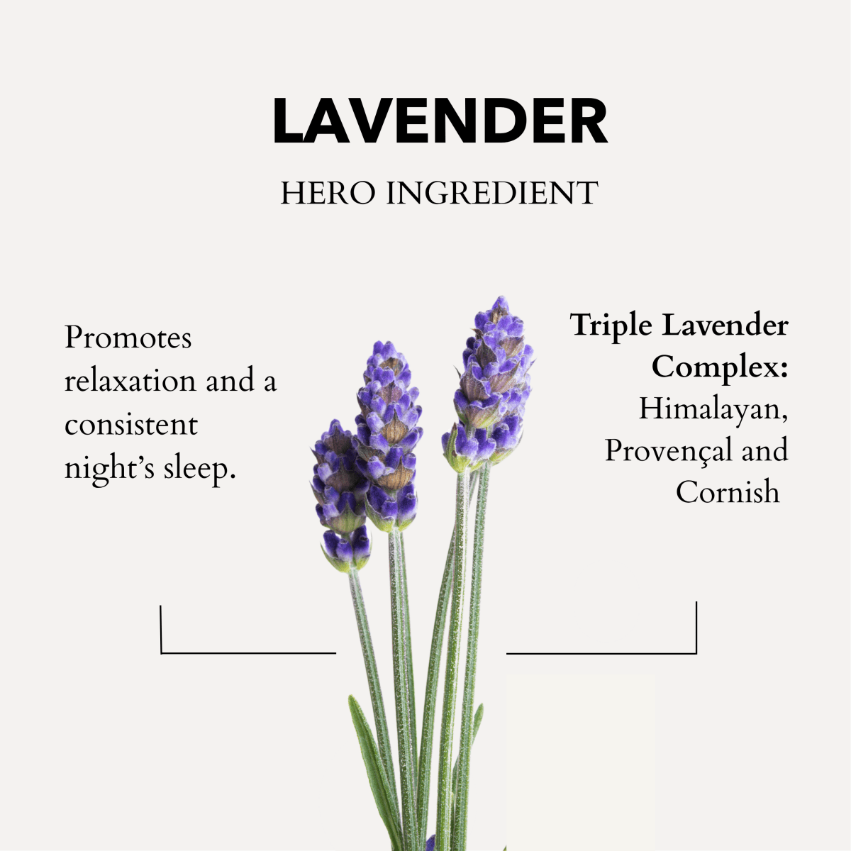 The Little Gift of Good Sleep - Lavender - Herbalshire Handmade Herbal Products