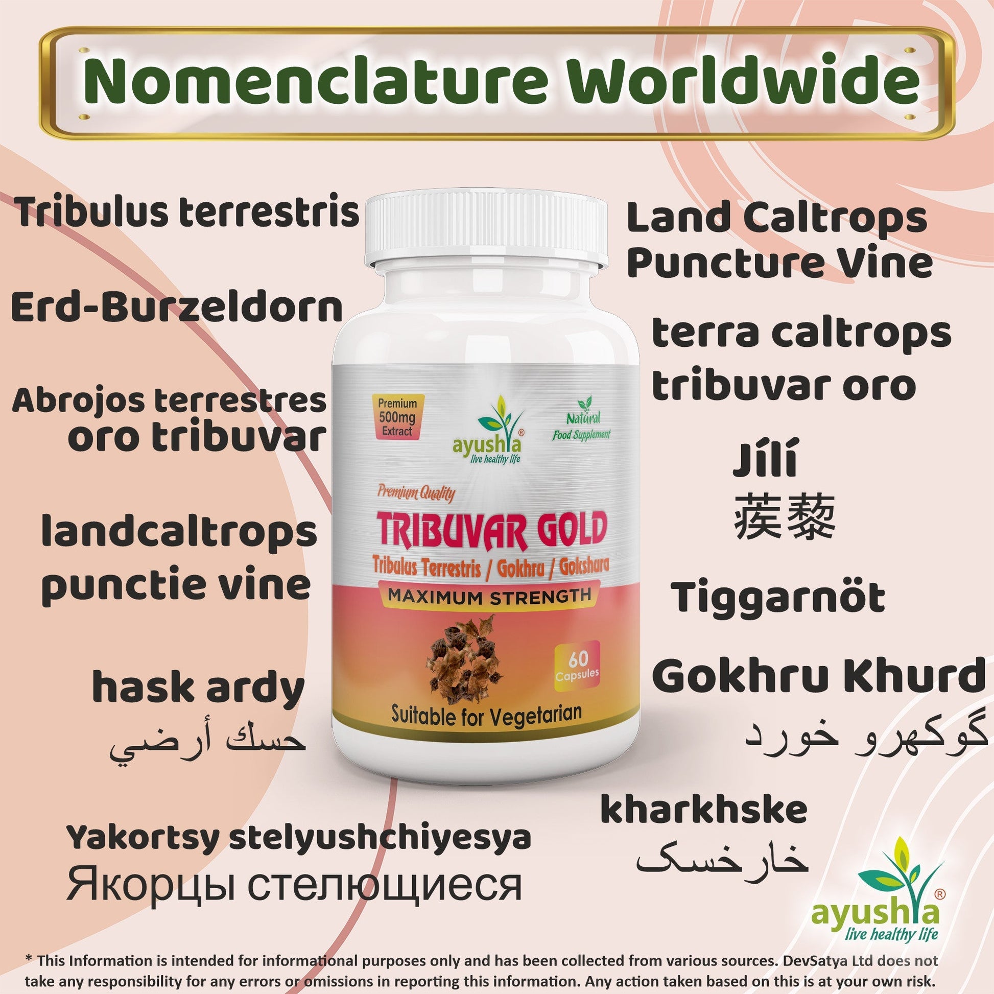 Tribulus Terrestris Extract Capsules - Herbalshire Handmade Herbal Products