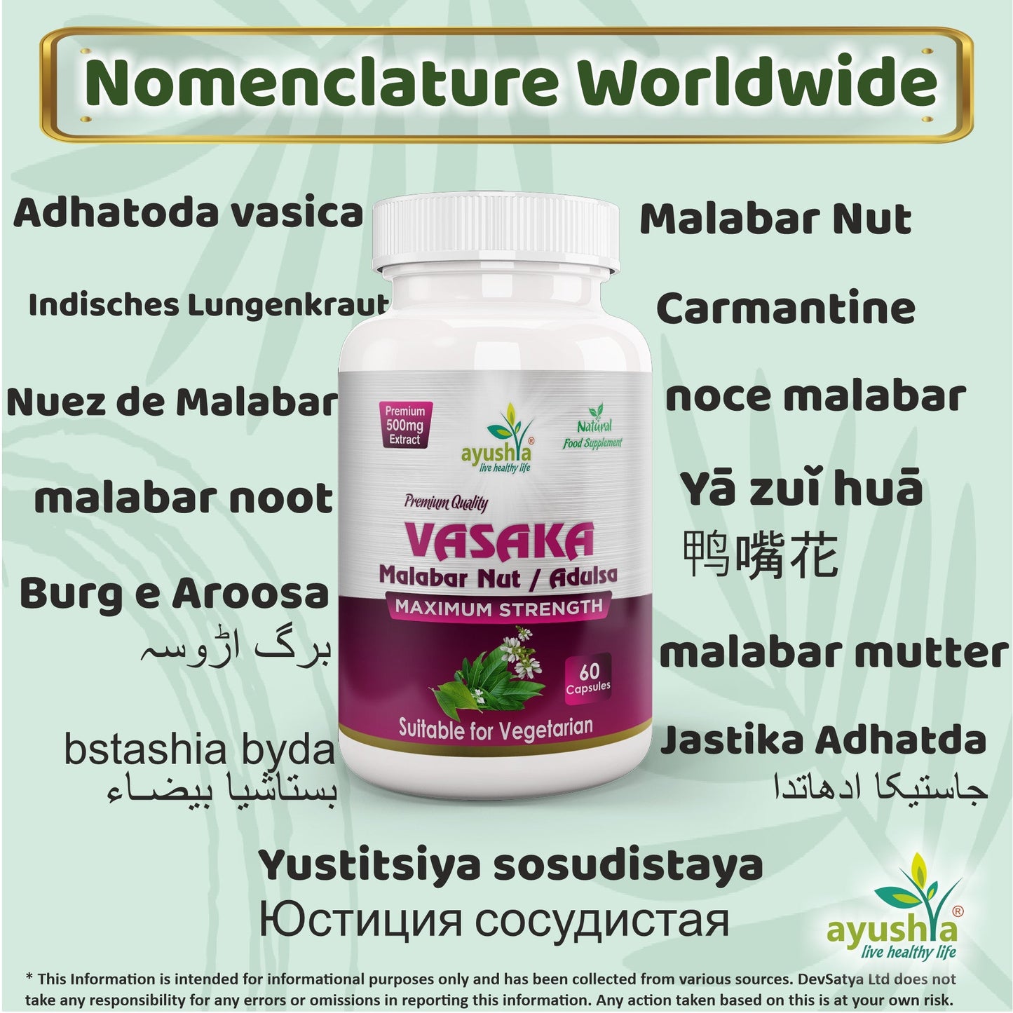 Vasaka (Adulsa) Capsule - Herbalshire Handmade Herbal Products