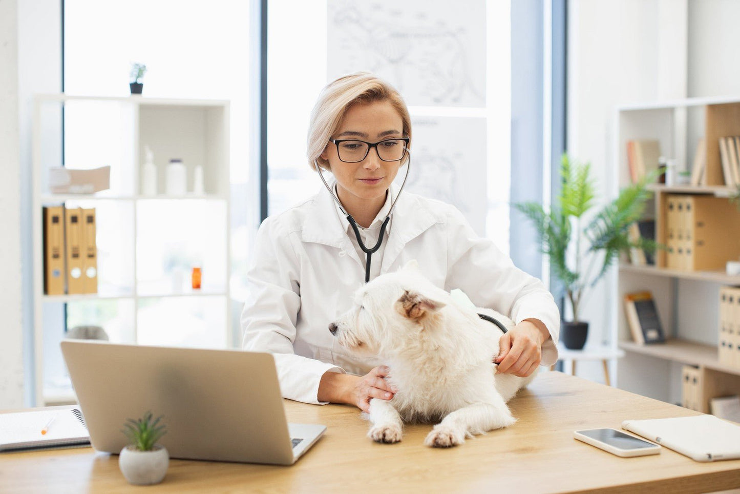 Vet Gift Bubble Bath – Natural Handmade Ylang Ylang Soak – SLS & Paraben Free – - Herbalshire Handmade Herbal Products