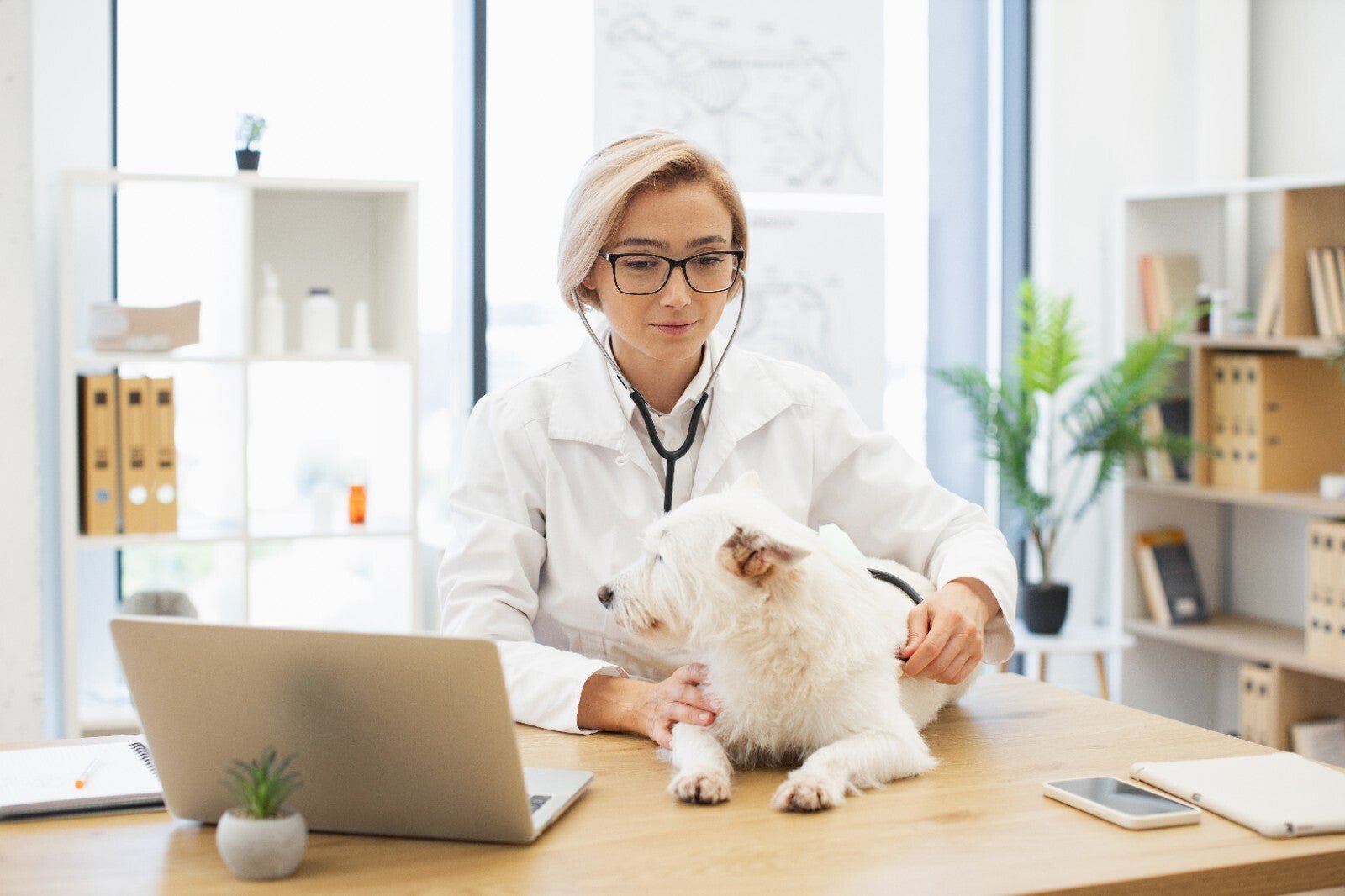 Vet Gift Bubble Bath – Natural Handmade Ylang Ylang Soak – SLS & Paraben Free - Herbalshire Handmade Herbal Products