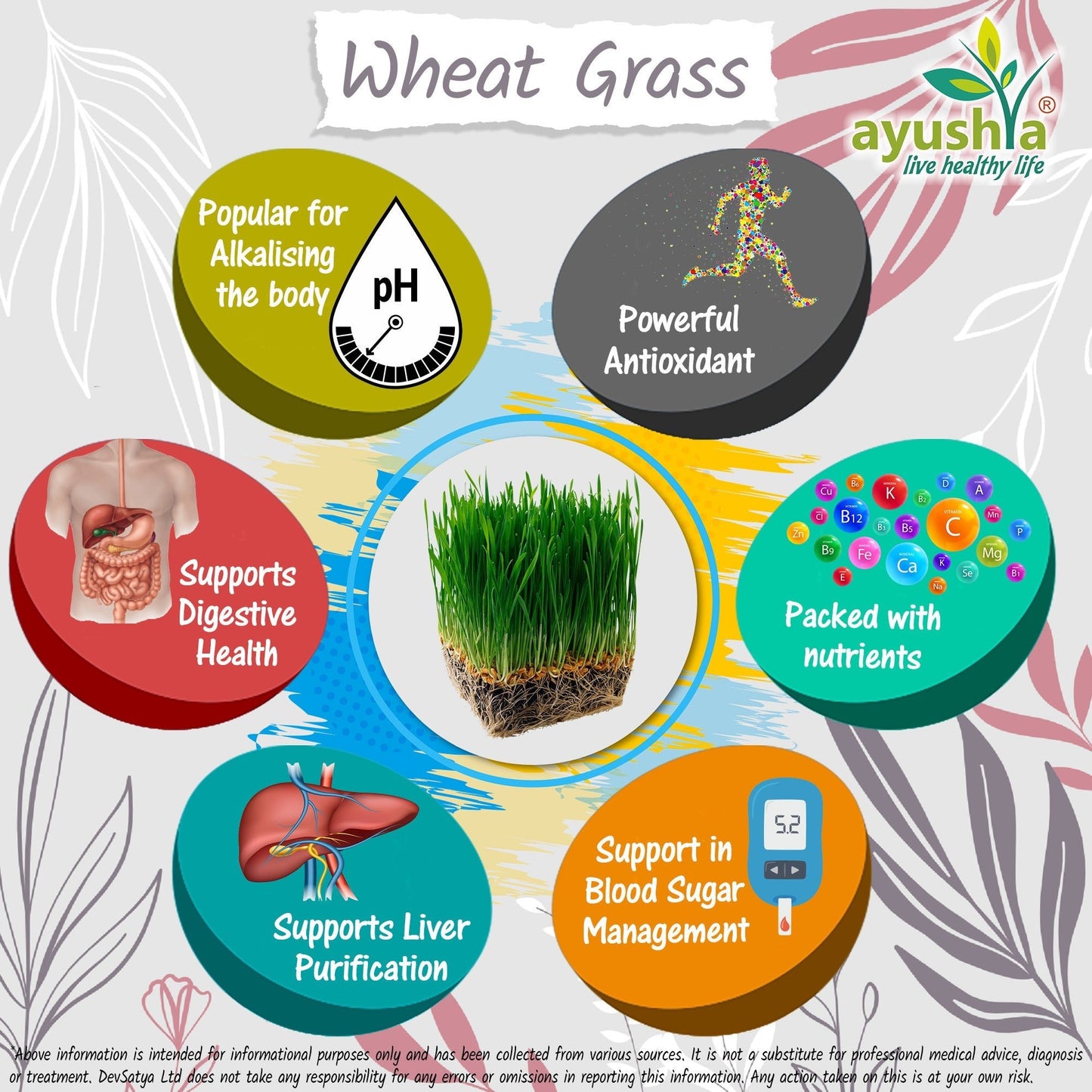 Wheat Grass Capsule - Herbalshire Handmade Herbal Products