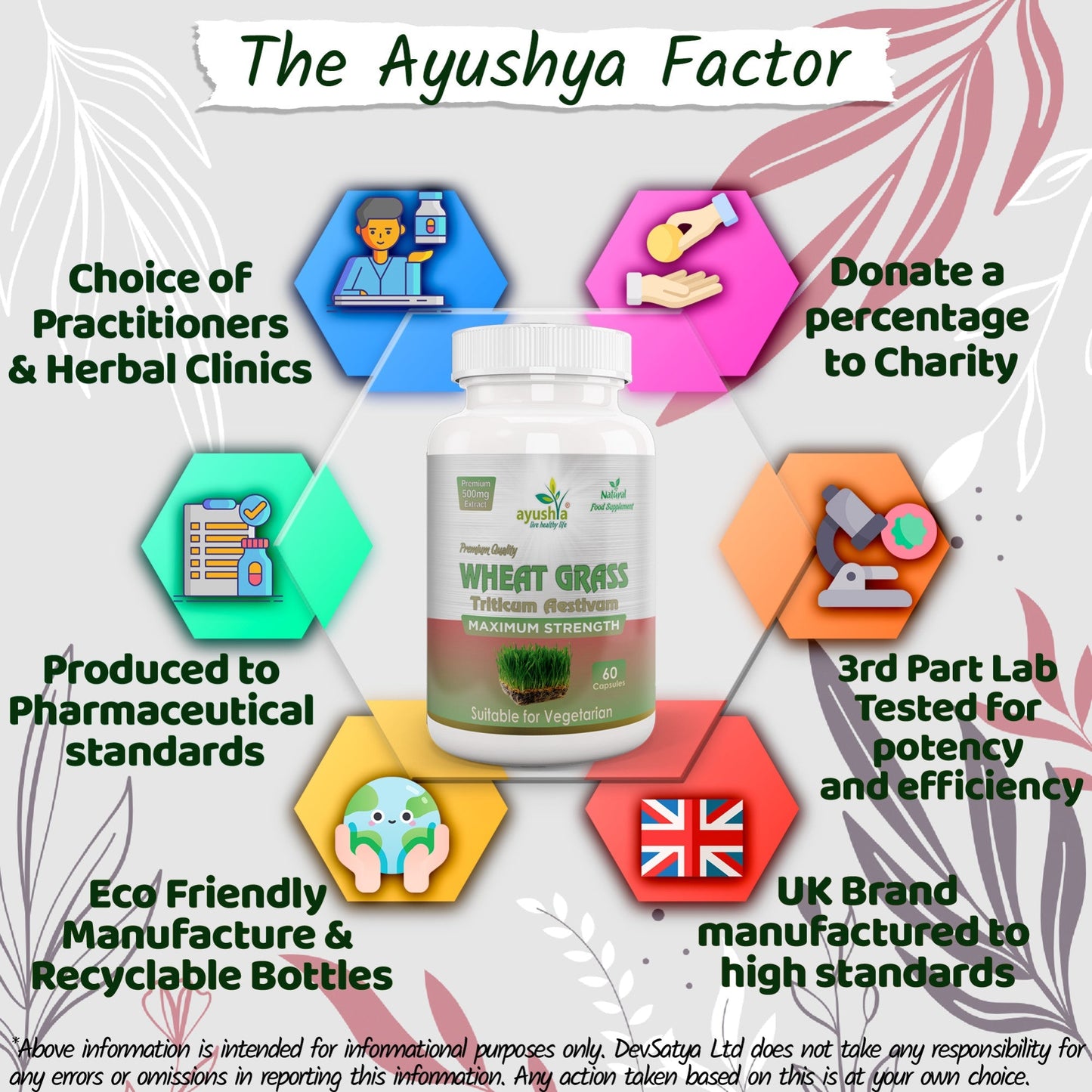 Wheat Grass Capsule - Herbalshire Handmade Herbal Products