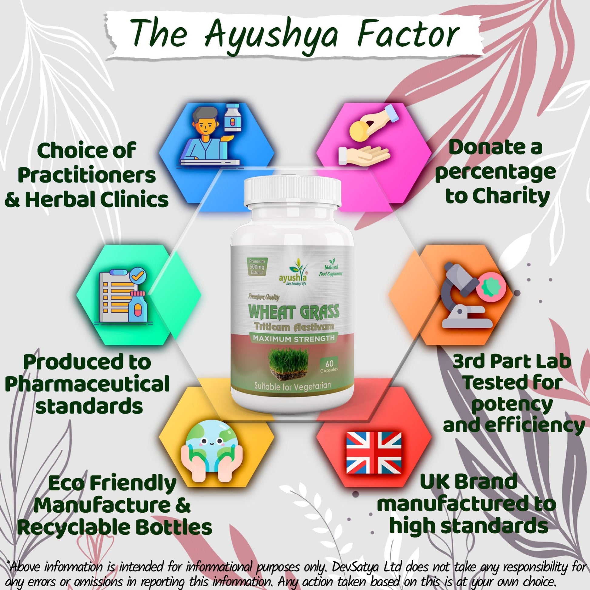 Wheat Grass Capsule - Herbalshire Handmade Herbal Products
