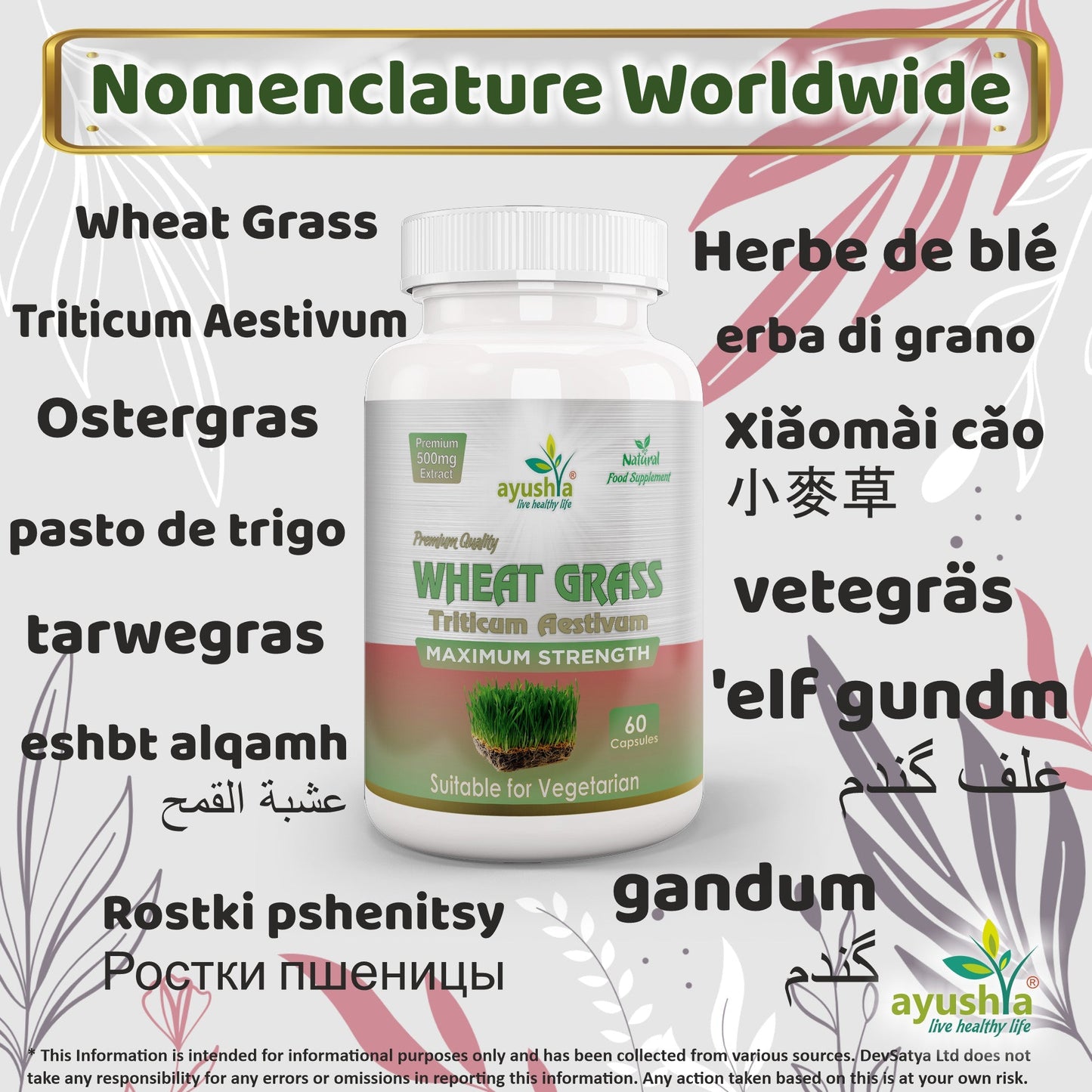Wheat Grass Capsule - Herbalshire Handmade Herbal Products