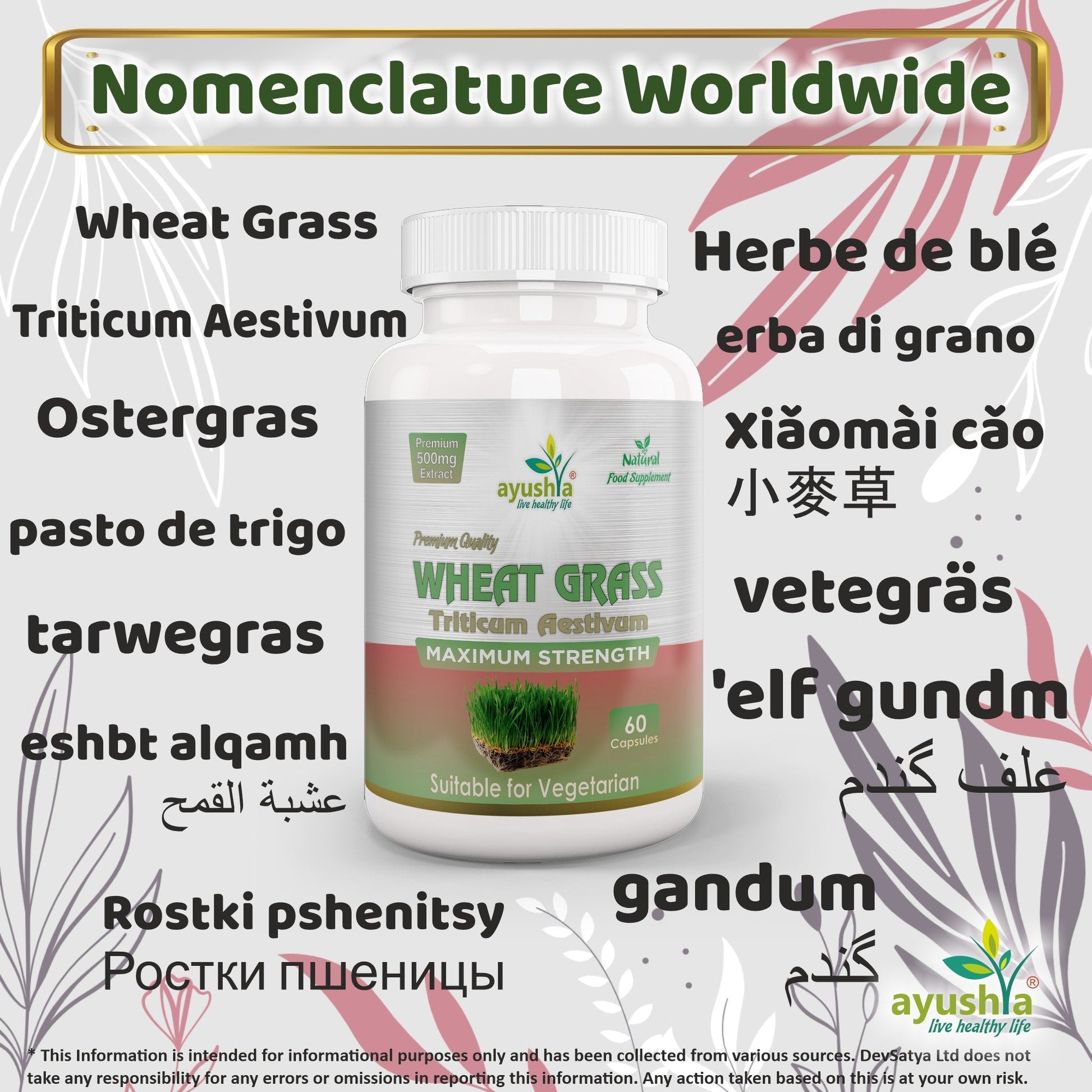 Wheat Grass Capsule - Herbalshire Handmade Herbal Products