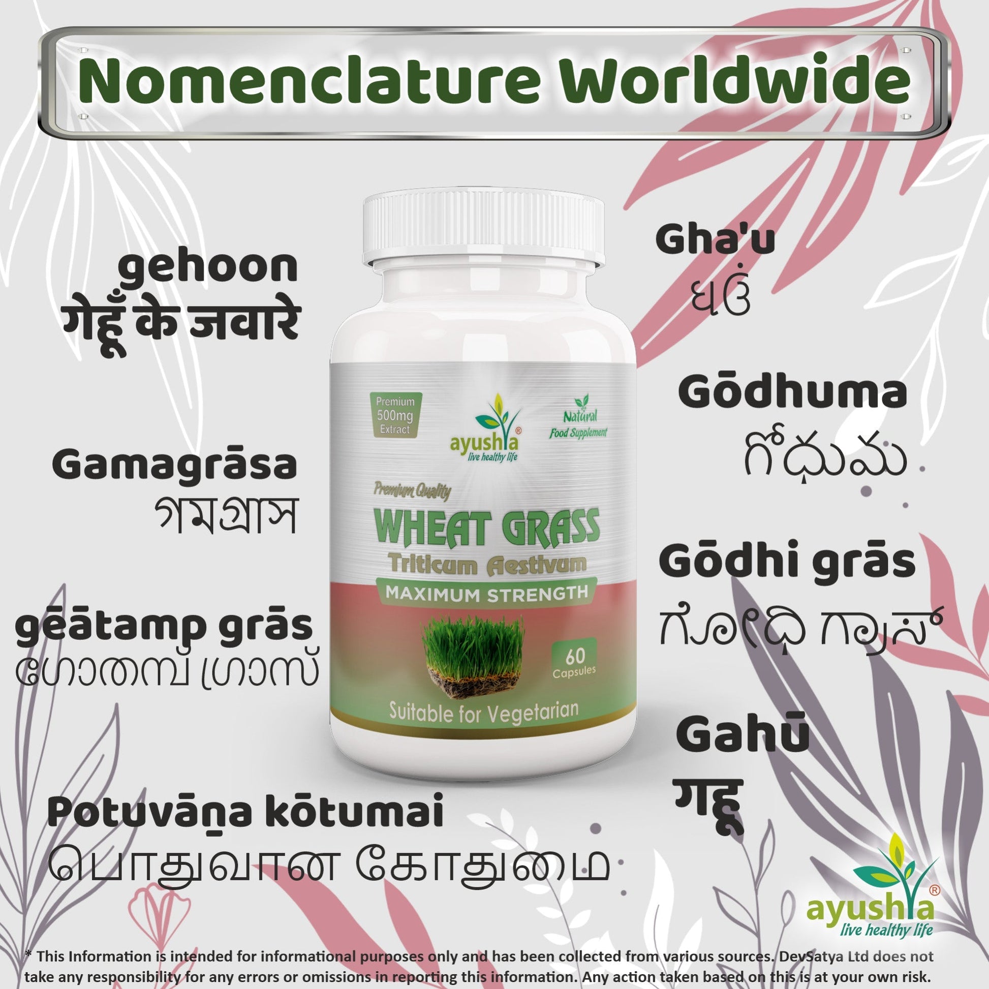 Wheat Grass Capsule - Herbalshire Handmade Herbal Products