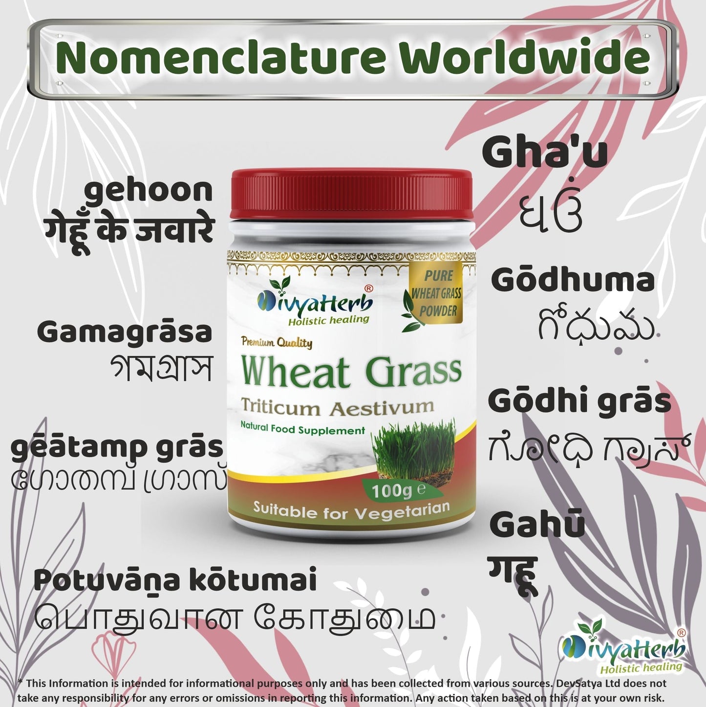 Wheat Grass Powder - Herbalshire Handmade Herbal Products