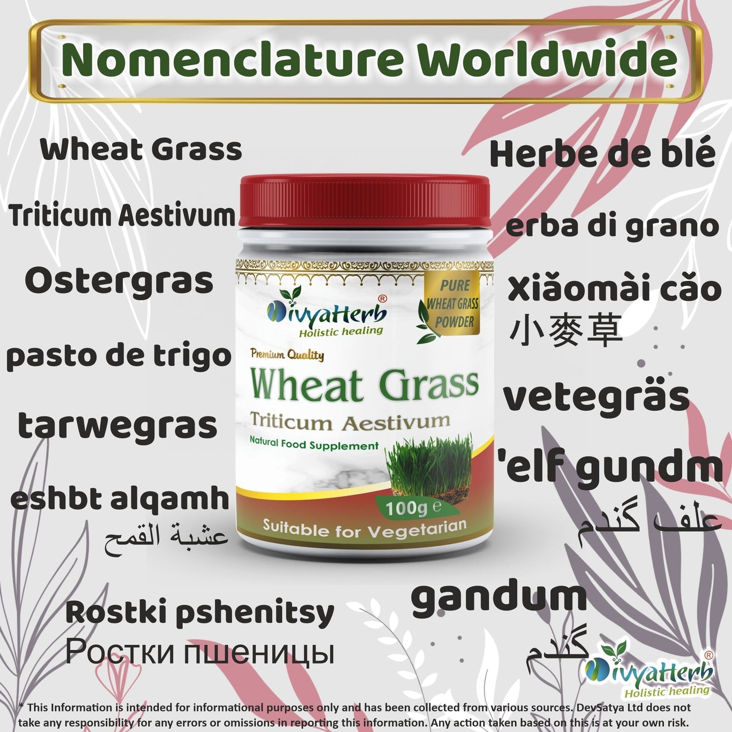 Wheat Grass Powder - Herbalshire Handmade Herbal Products