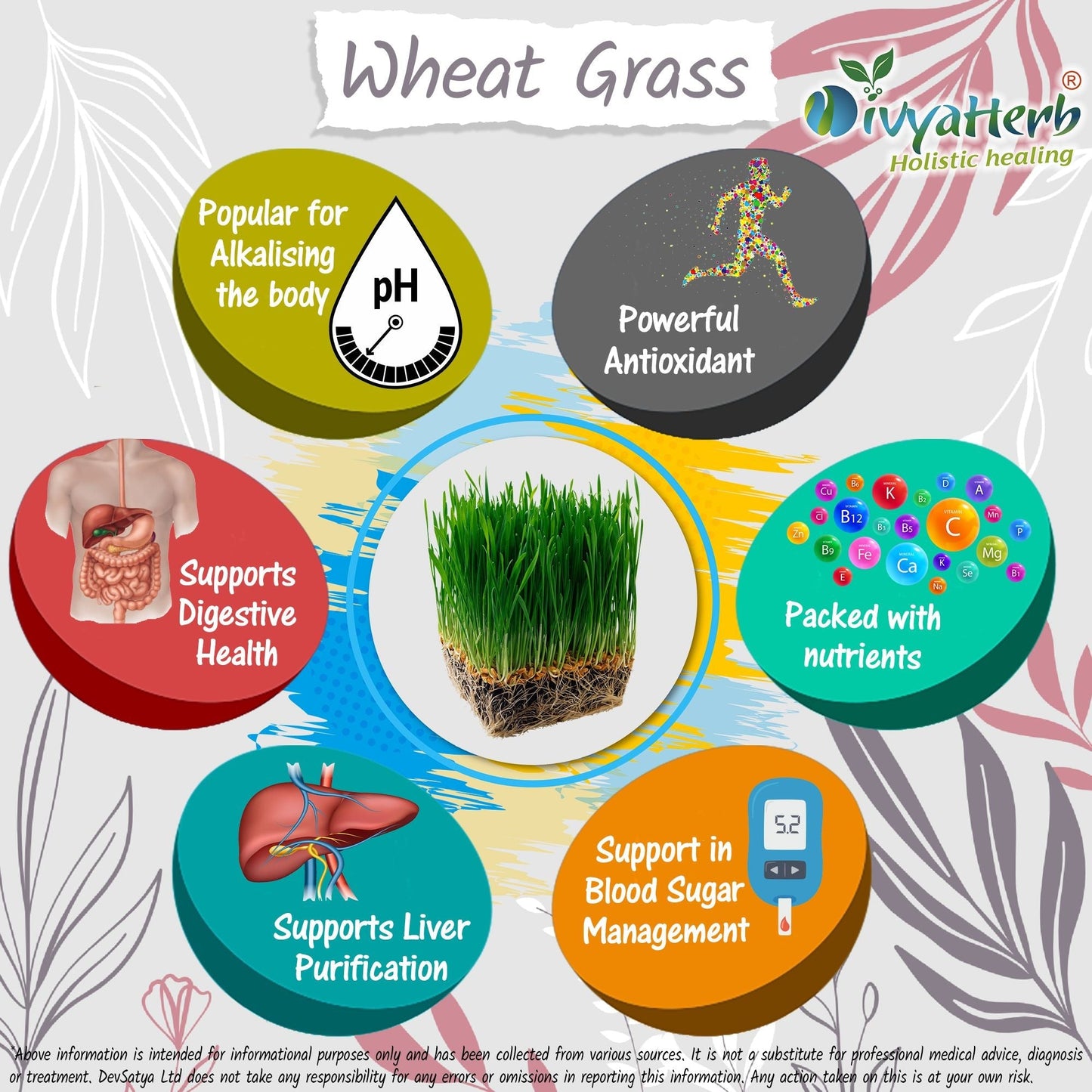 Wheat Grass Powder - Herbalshire Handmade Herbal Products