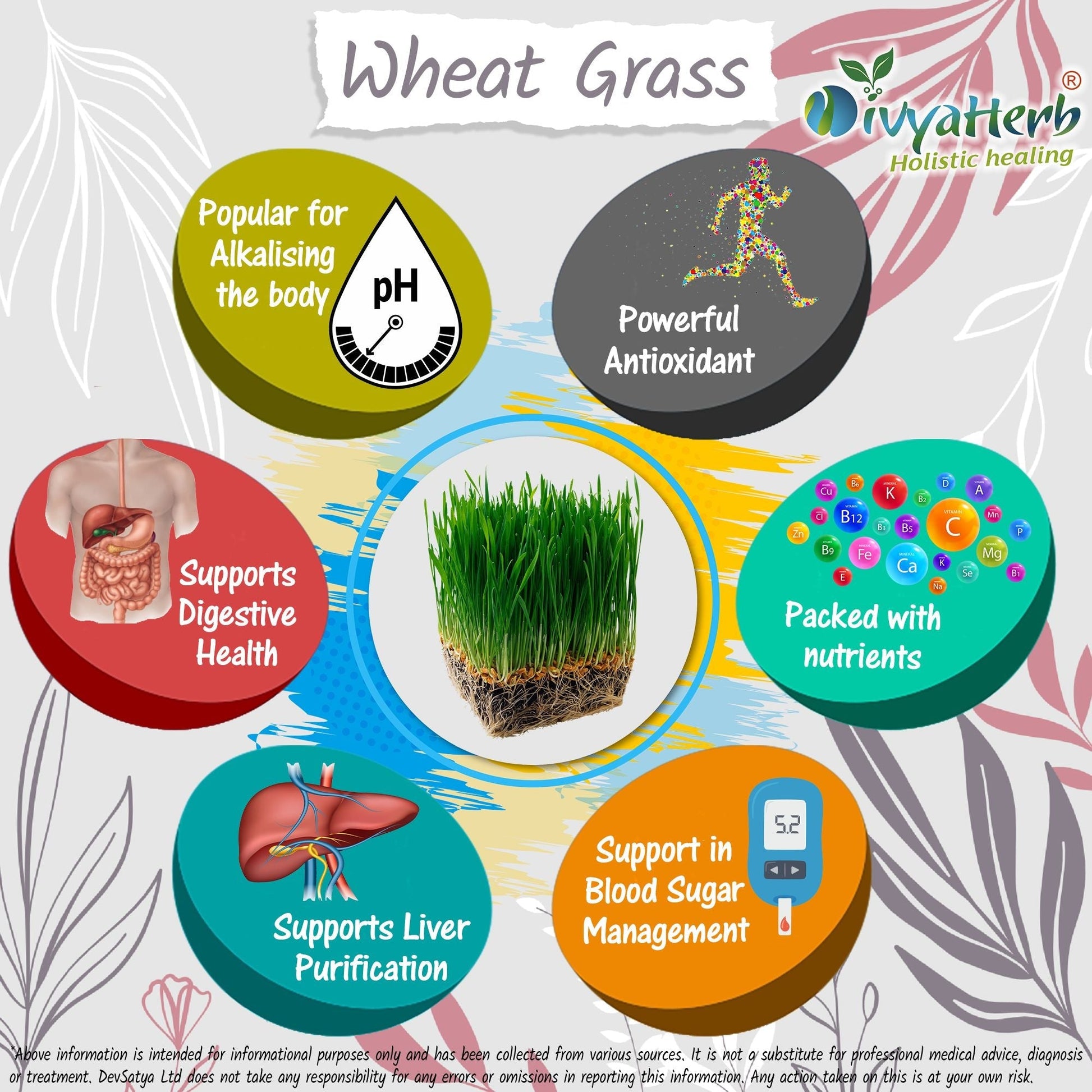 Wheat Grass Powder - Herbalshire Handmade Herbal Products