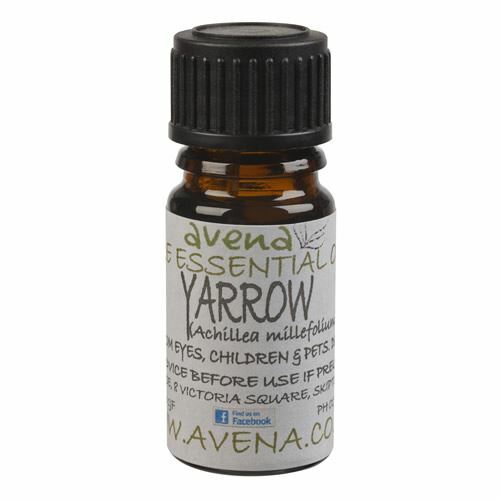 Yarrow Essential Oil 5ml - Pure Natural Aromatherapy Diffuse Burner Massage - Herbalshire Handmade Herbal Products
