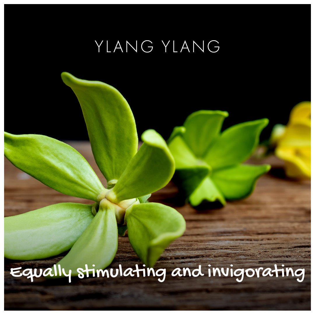 Ylang Ylang Natural Soap - Herbalshire Handmade Herbal Products